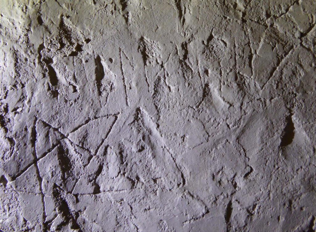 Bilden visar runor och ett pentagram ristade i putsen på en vägg
