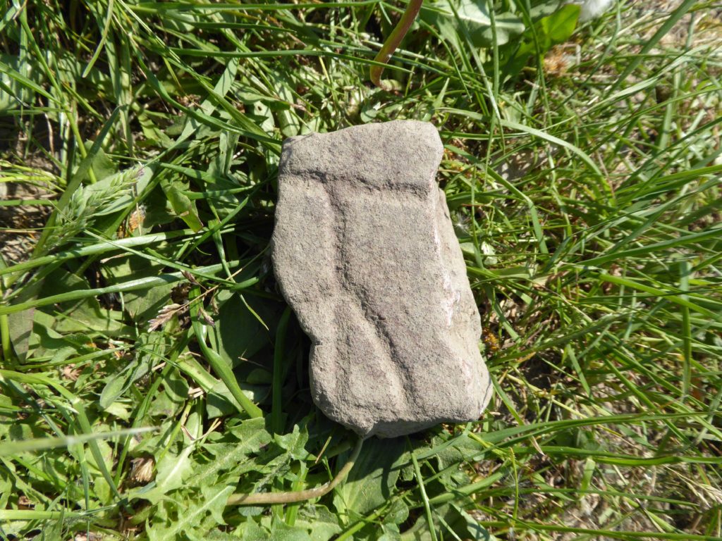 Bilden visar ett runstensfragment med en runa liggande i gräset