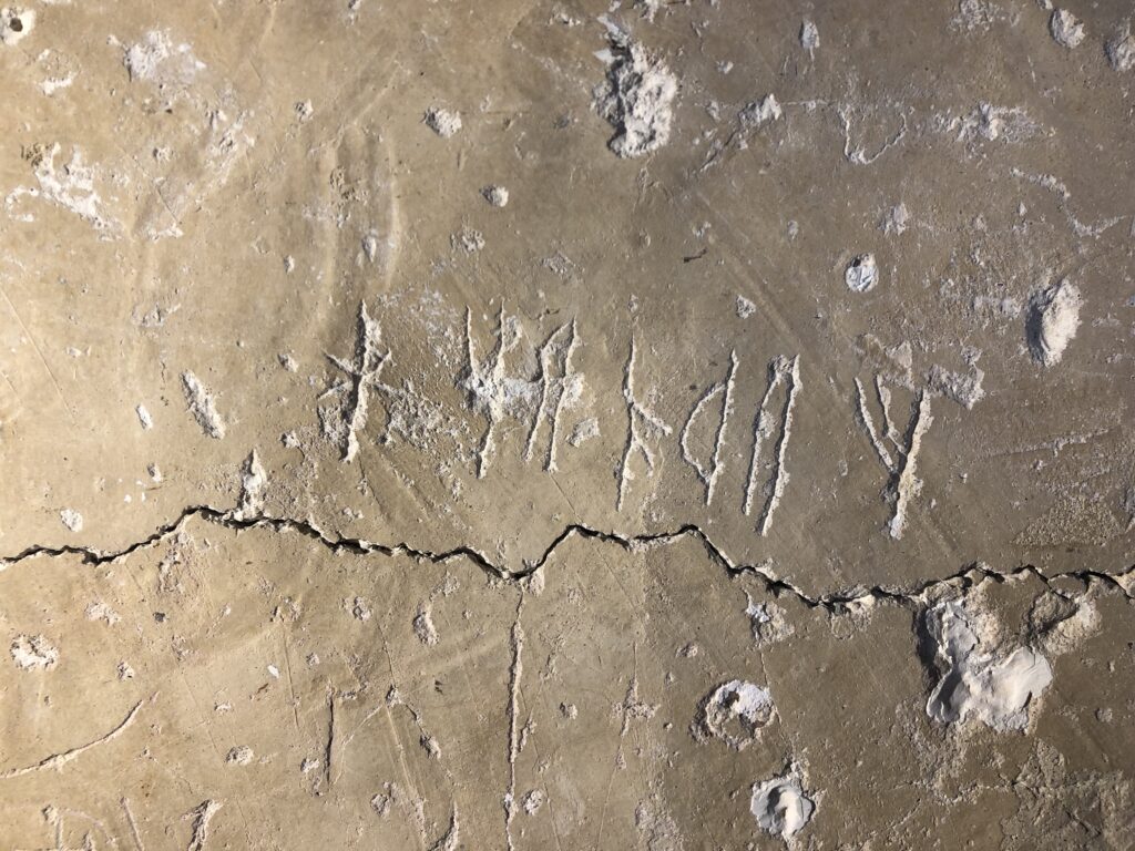 Bilden visar runor ristade på en kalkstruken vägg